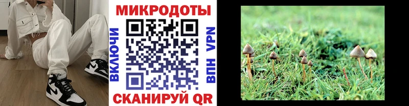 сайты даркнета наркотические препараты  Сельцо  Галлюциногенные грибы Cubensis  закладка 